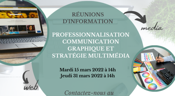 Professionnalisations communication graphique et stratégie multimédia 1