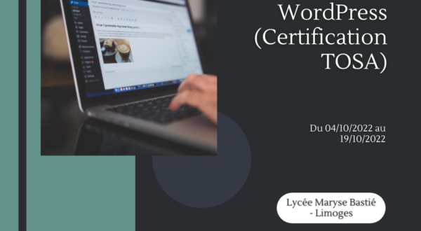 Découvrez WordPress (Certification TOSA) 1