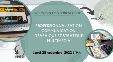 Professionnalisations communication graphique et stratégie multimédia 4