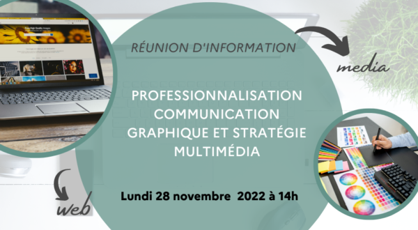 Professionnalisations communication graphique et stratégie multimédia 4