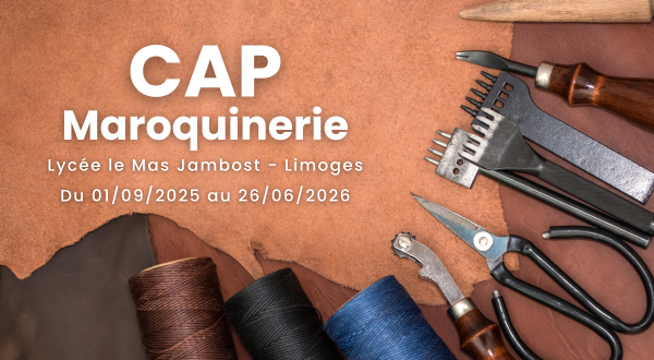 Découvrez le CAP Maroquinerie à Limoges